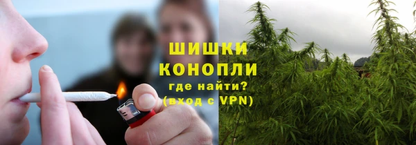 твердый Няндома