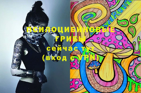 твердый Няндома