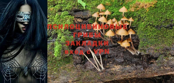 твердый Няндома