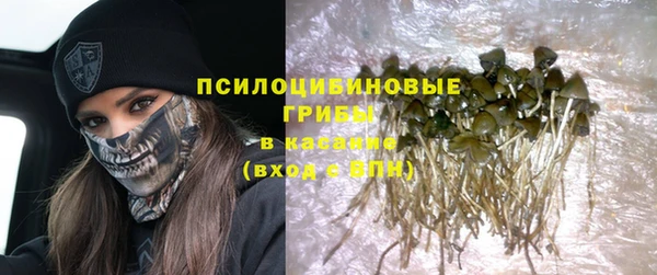 трава Нягань