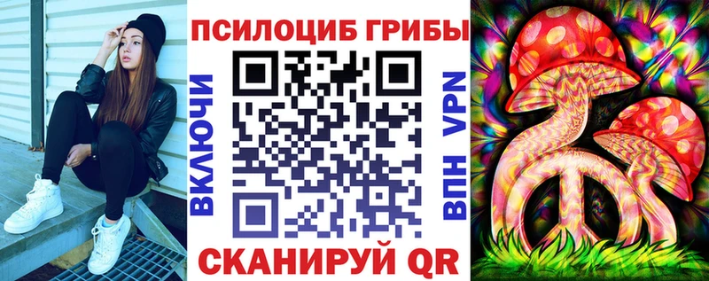 Псилоцибиновые грибы Psilocybine cubensis  Купить закладки  Зубцов 